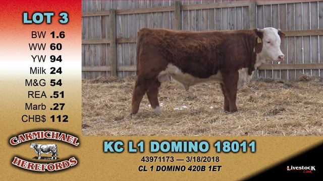 Lot #3 - KC L1 DOMINO 18011