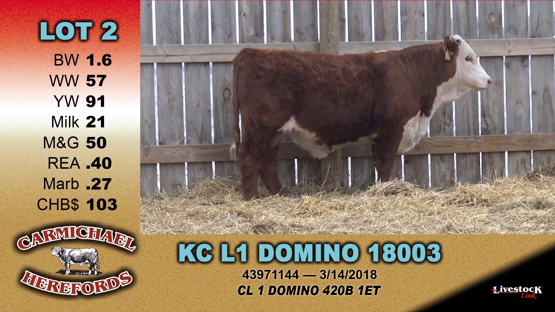 Carmichael Herefords - Lot 2