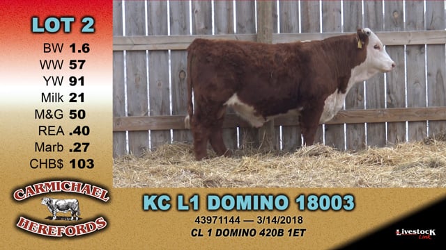 Lot #2 - KC L1 DOMINO 18003