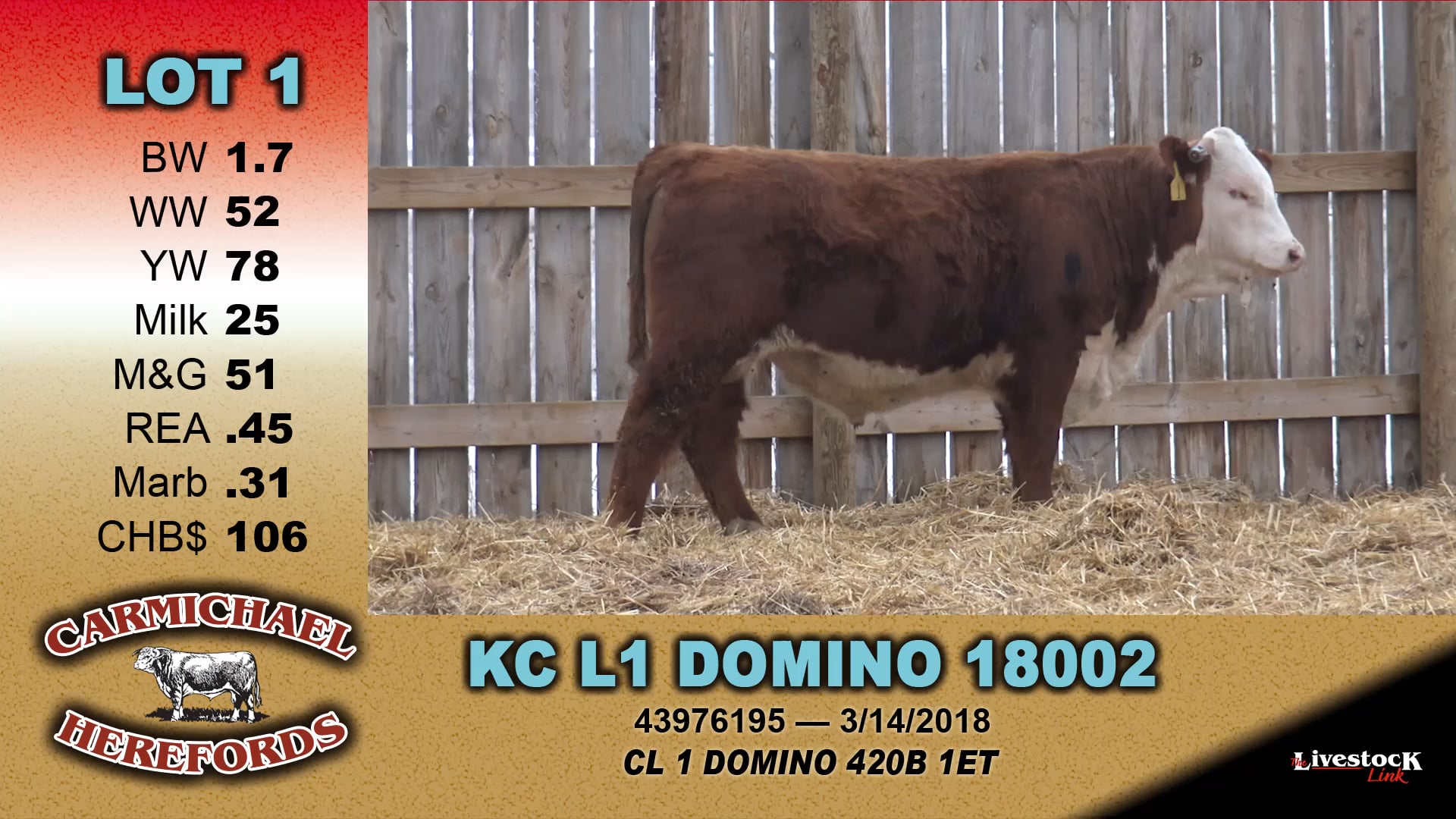 2019 Bull Sale