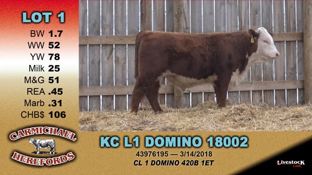 Lot #1 - KC L1 DOMINO 18002