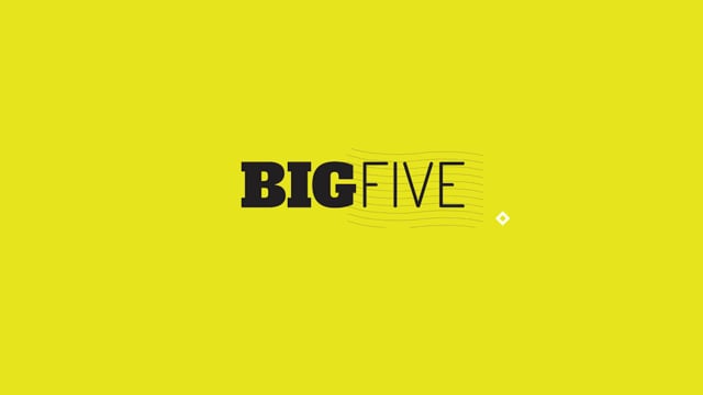 BigFive - Video - 2
