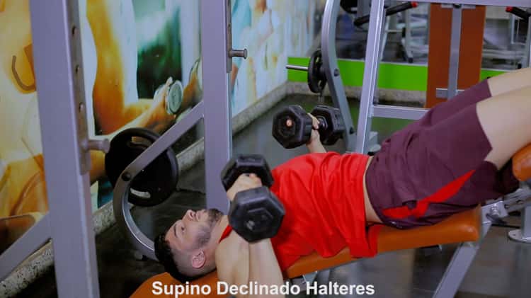 supino reto com halteres.mp4 on Vimeo