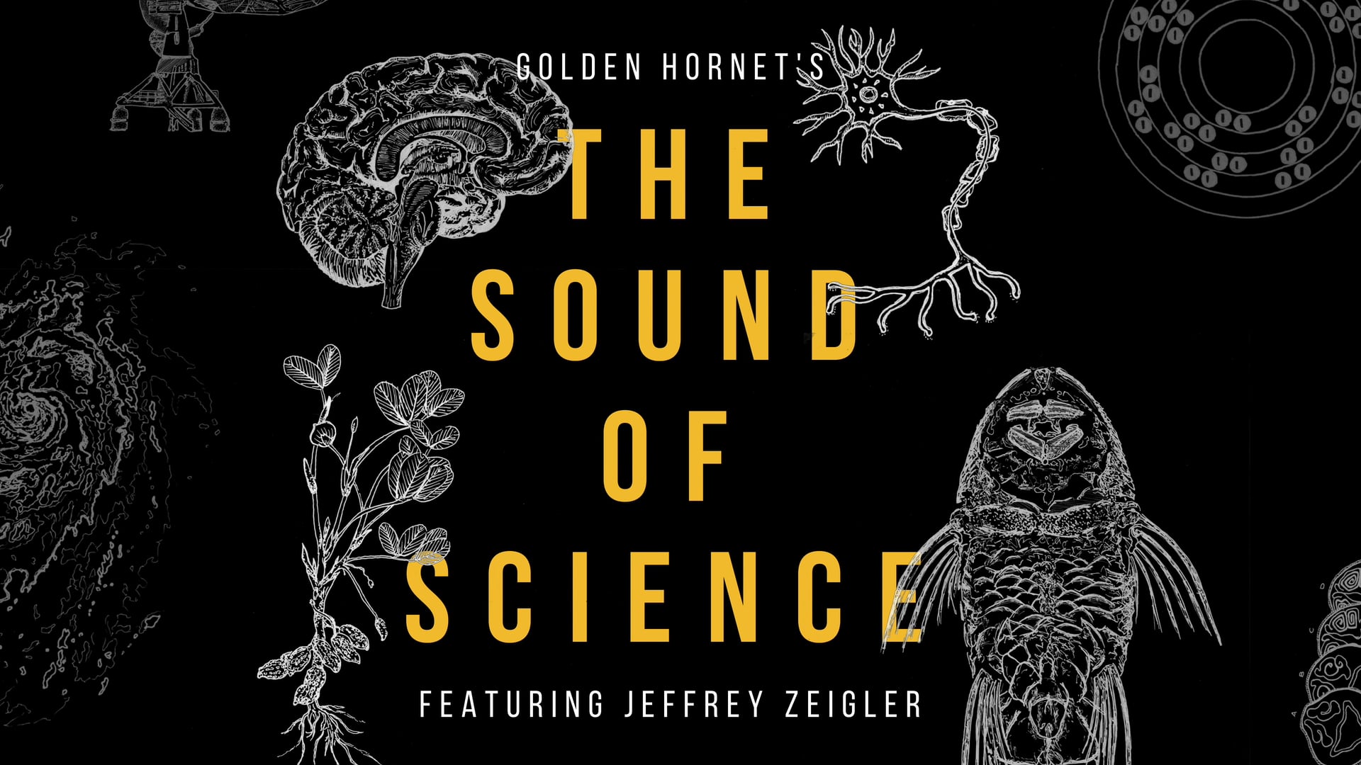 The Sound of Science