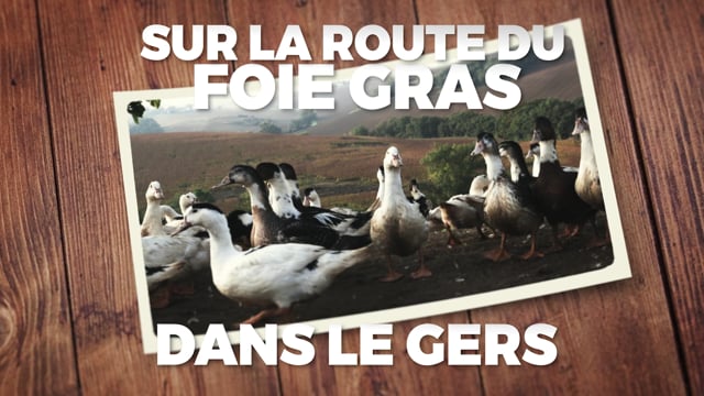 LA ROUTE DU FOIE GRAS DU GERS