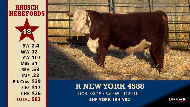 Lot #48 - R NEW YORK 4588