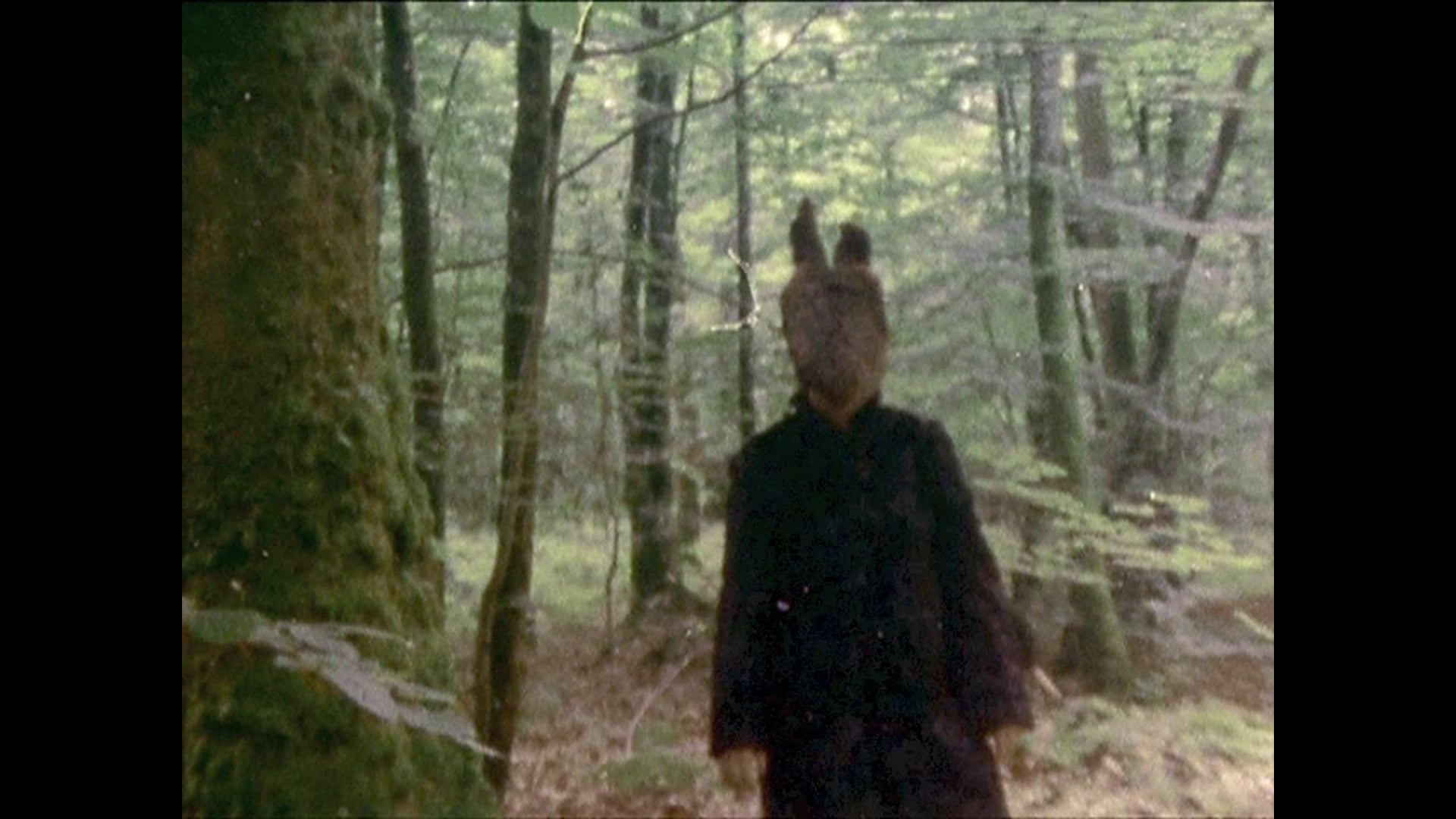 Le Loup
