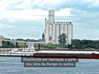 Brazilian Portuguese Subtitling Bunge