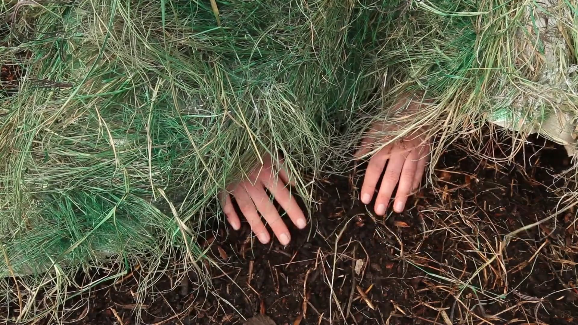 Under the Grass Blanket