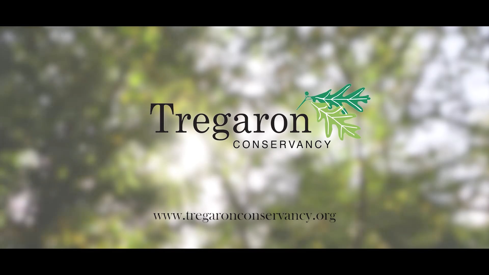 The Tregaron Conservancy