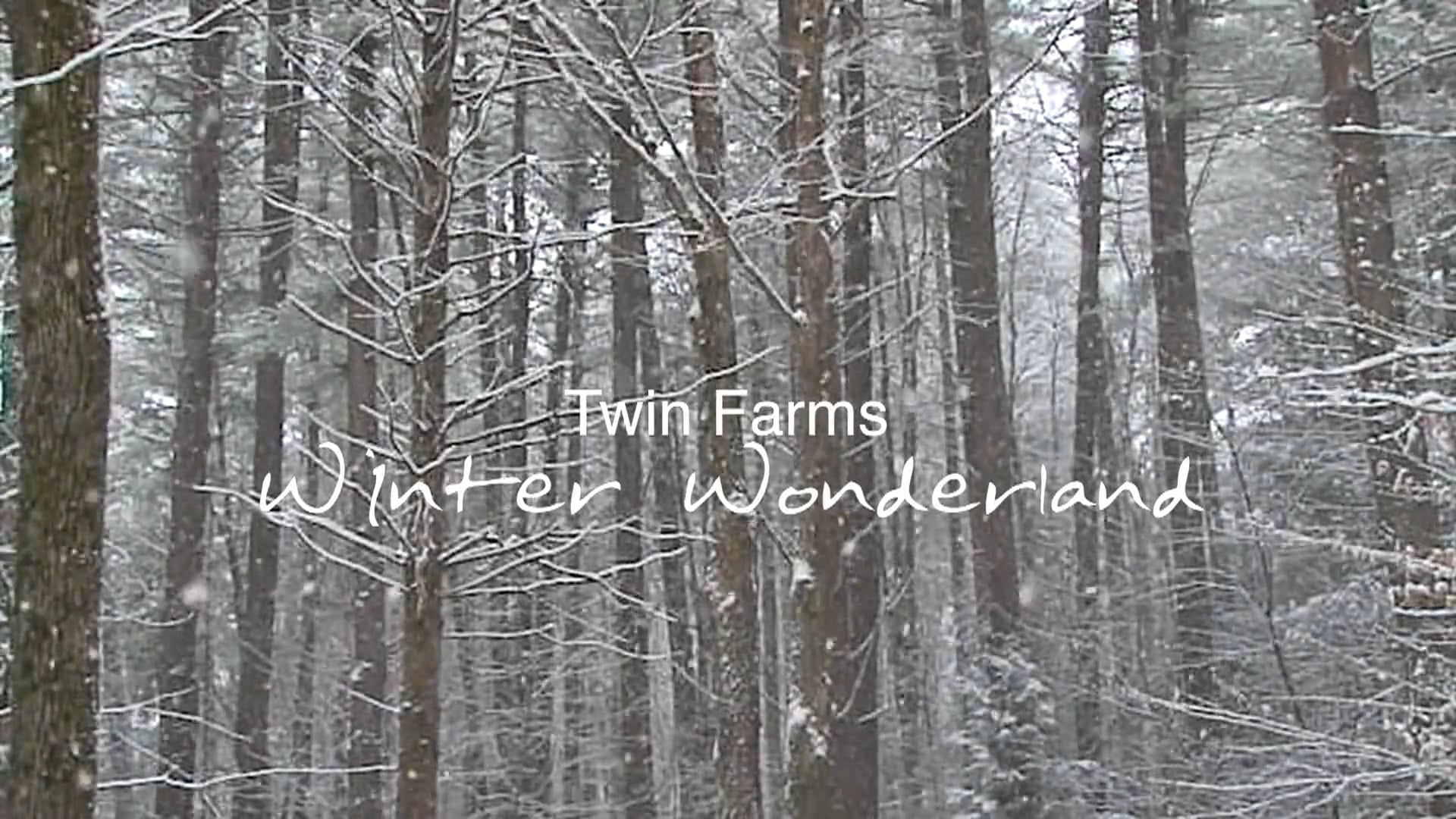 Twin Farms ~ Winter Wonderland