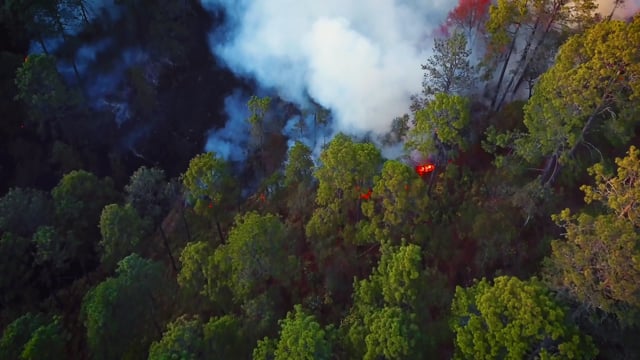 It's Time To Get FireSmart About Wildfires in BC