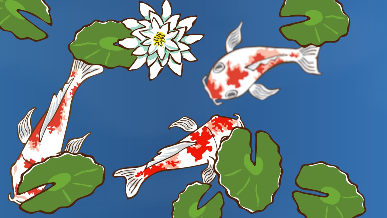 Koi Fish Animation on Vimeo
