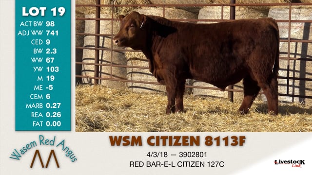 Lot #19 - WSM CITIZEN 8113F