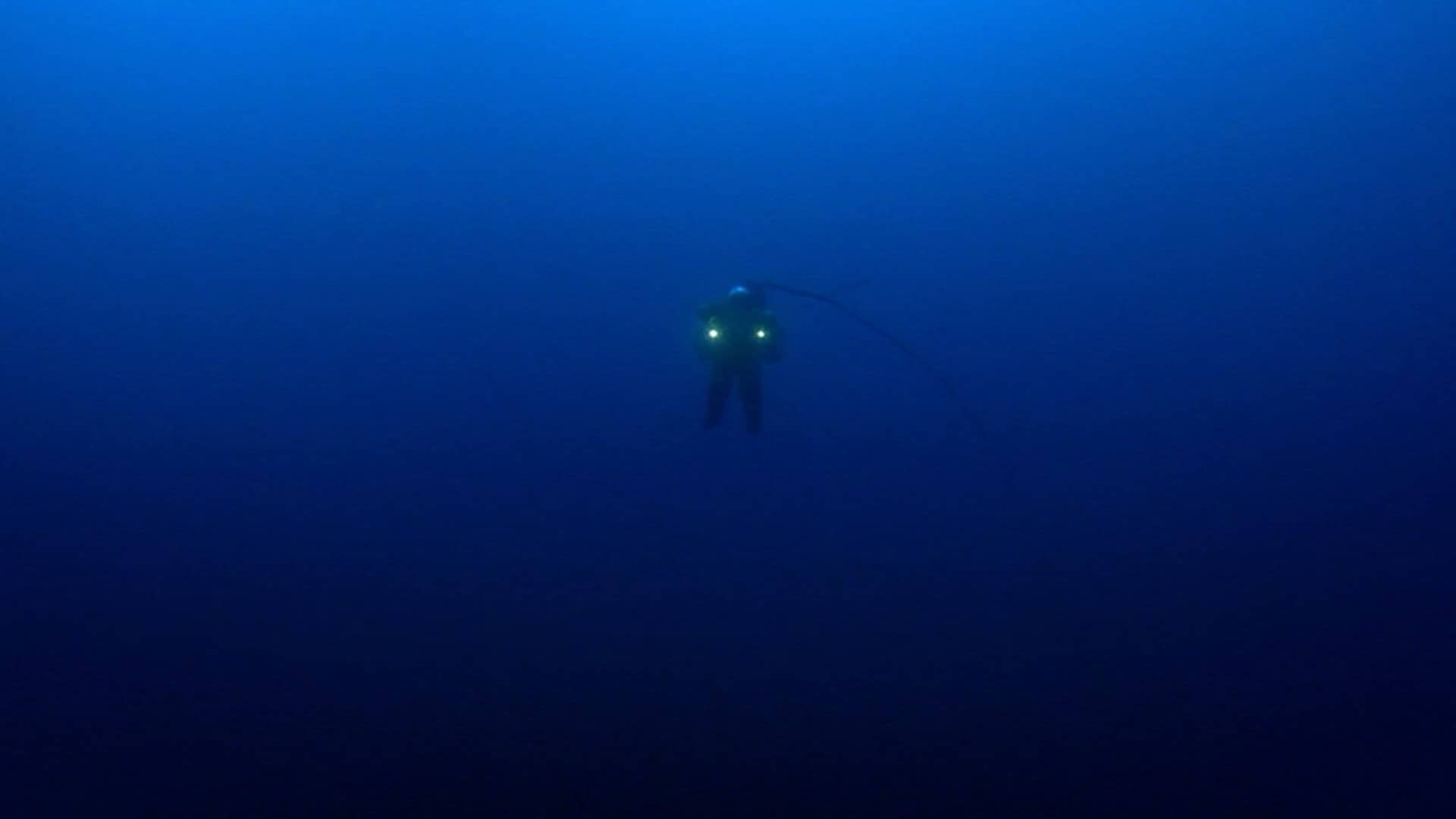 Diving Deep The life and Times of Mike deGruy Trailer on Vimeo