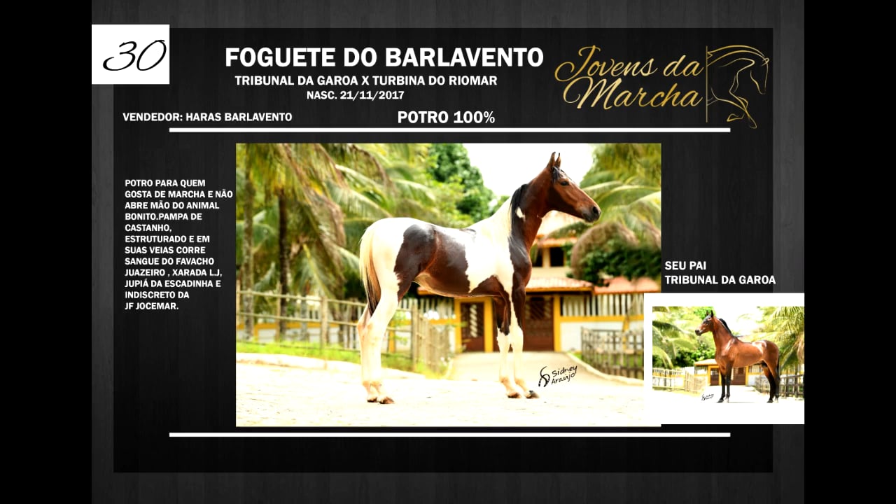 LOTE 30- FOGUETE DO BARLAVENTO