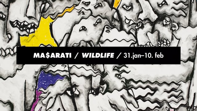 Ma$arati - Wildlife | 31. januar - 10. februar