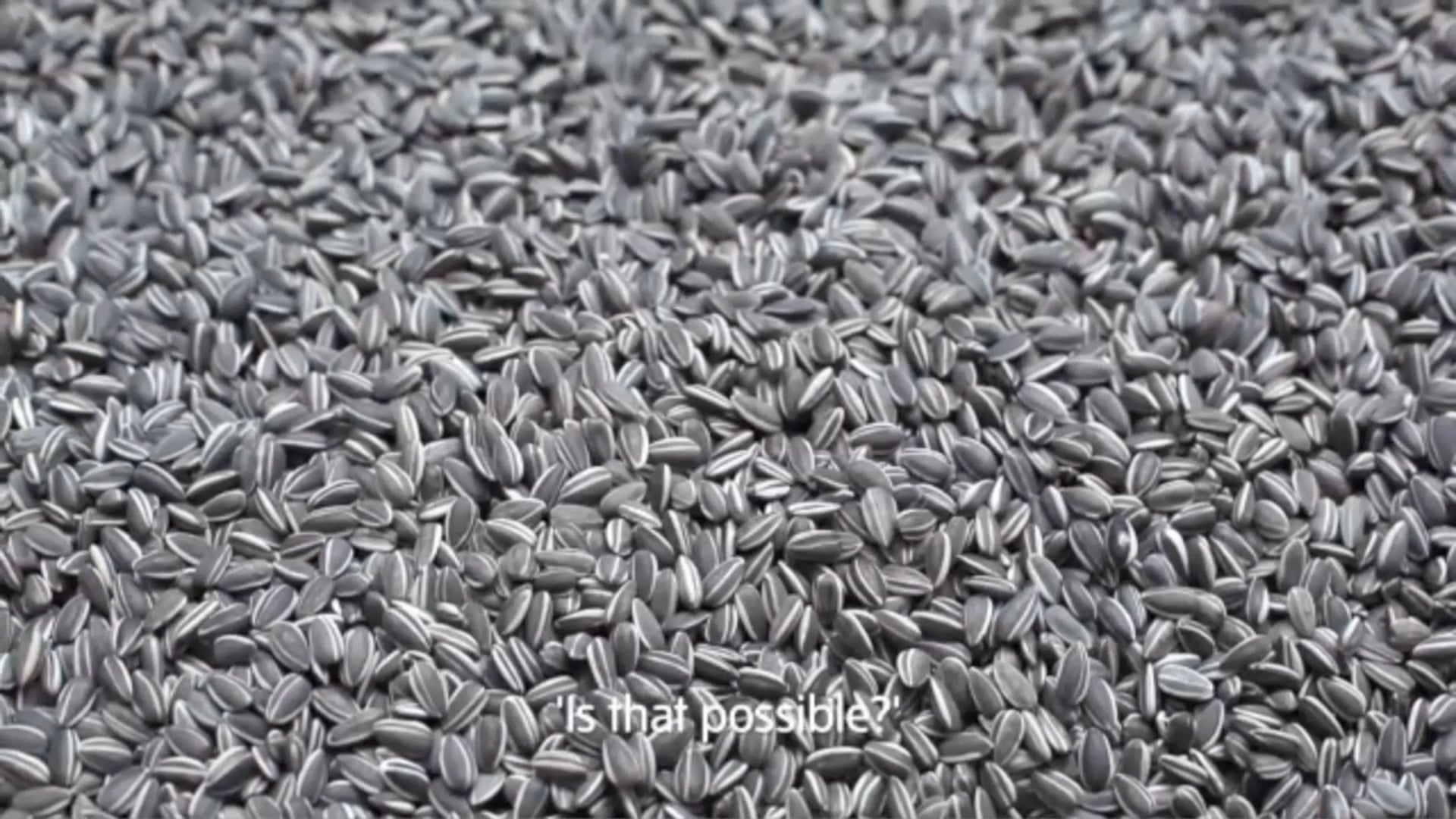 Ai Wei Wei Tate Intro