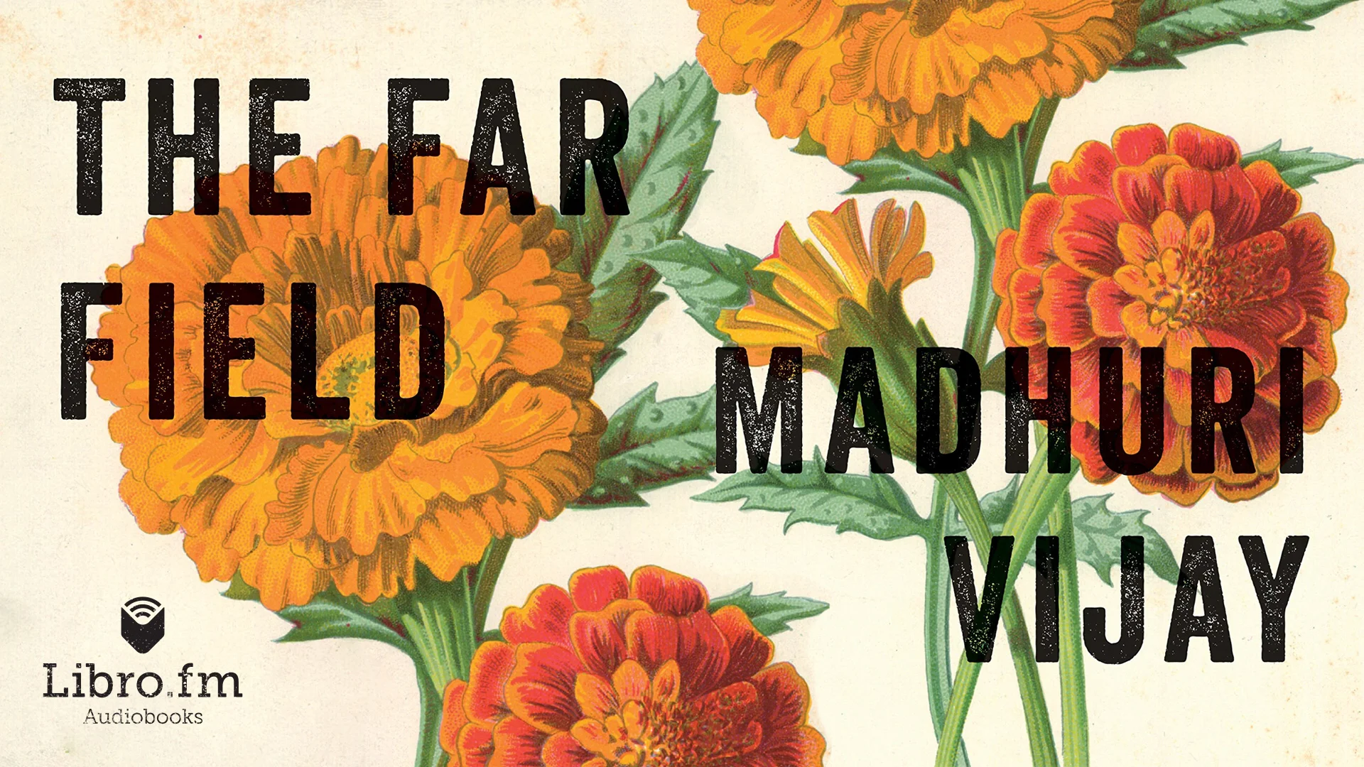 The Far Field by Madhuri Vijay Audiobook Excerpt