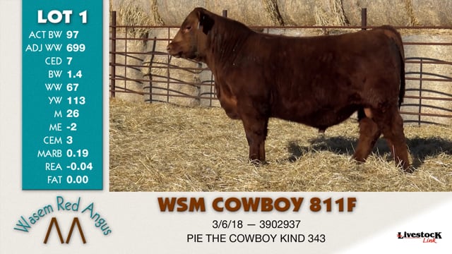 Lot #1 - WSM COWBOY 811F