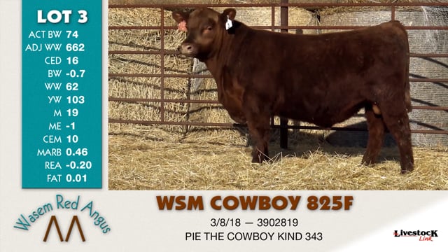 Lot #3 - WSM COWBOY 825F