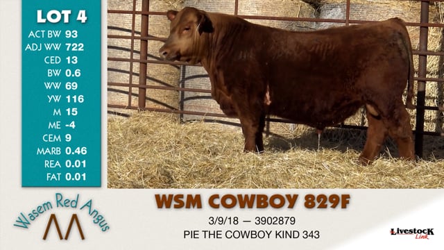 Lot #4 - WSM COWBOY 829F