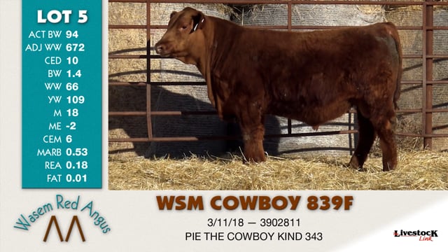 Lot #5 - WSM COWBOY 839F