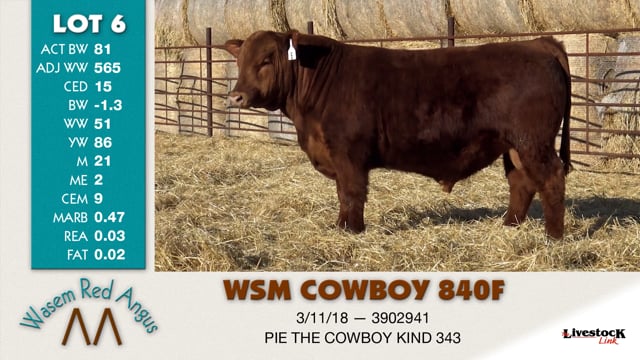 Lot #6 - WSM COWBOY 840F