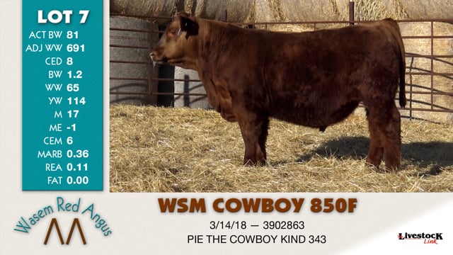 Lot #7 - WSM COWBOY 850F
