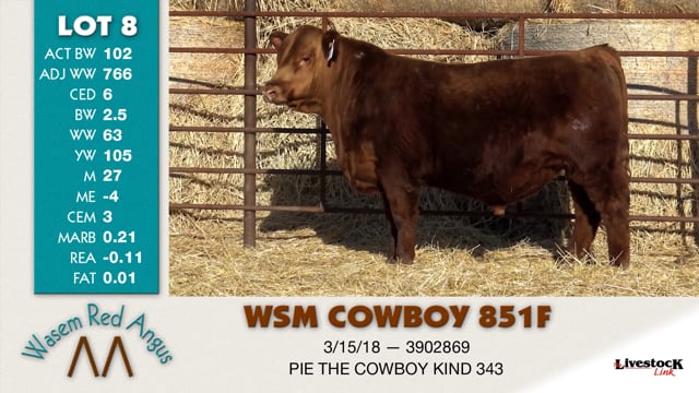 Lot #8 - WSM COWBOY 851F