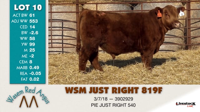 Lot #10 - WSM JUST RIGHT 819F