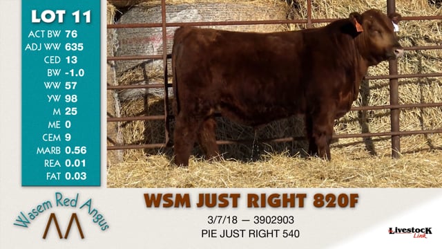 Lot #11 - WSM JUST RIGHT 820F