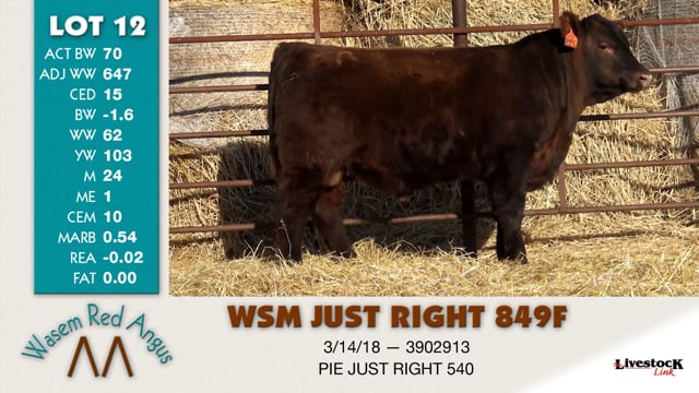 Lot #12 - WSM JUST RIGHT 849F