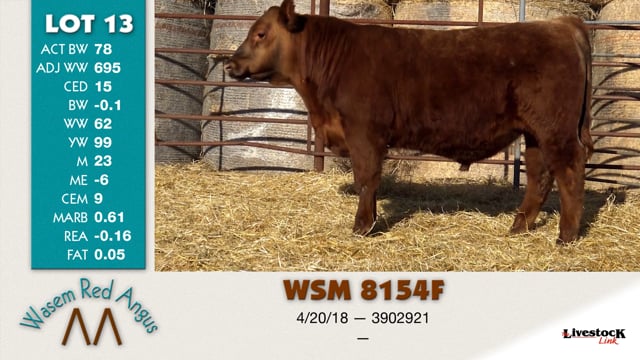 Lot #13 - WSM 8154F