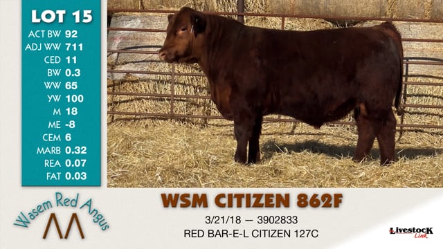 Lot #15 - WSM CITIZEN 862F