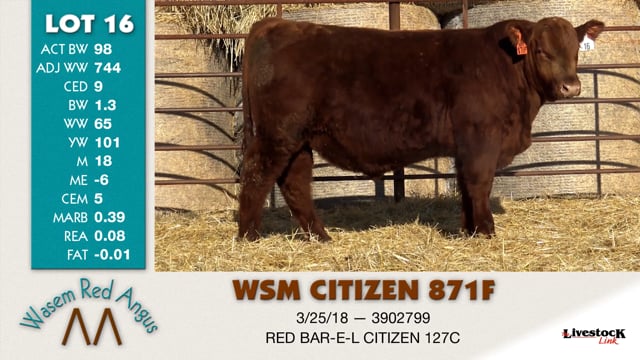 Lot #16 - WSM CITIZEN 871F
