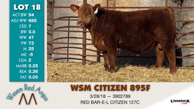 Lot #18 - WSM CITIZEN 895F