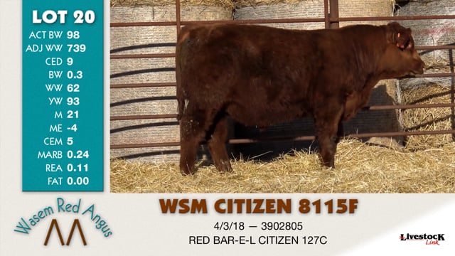 Lot #20 - WSM CITIZEN 8115F