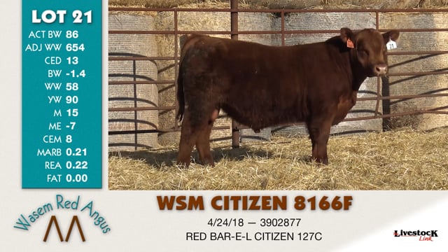 Lot #21 - WSM CITIZEN 8166F
