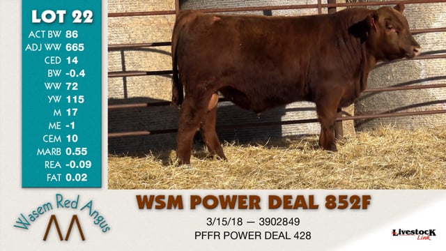 Lot #22 - WSM POWER DEAL 852F