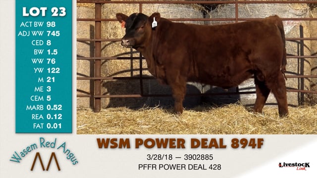 Lot #23 - WSM POWER DEAL 894F