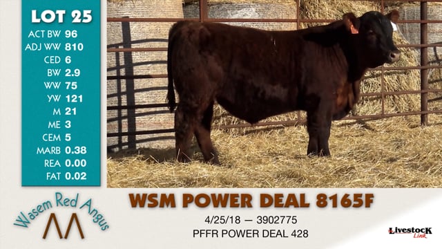 Lot #25 - WSM POWER DEAL 8165F