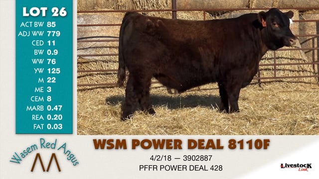 Lot #26 - WSM POWER DEAL 8110F