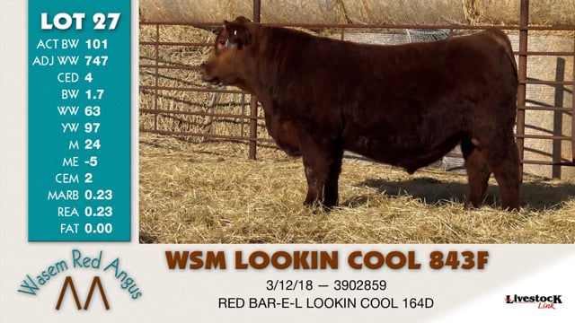 Lot #27 - WSM LOOKIN COOL 843F