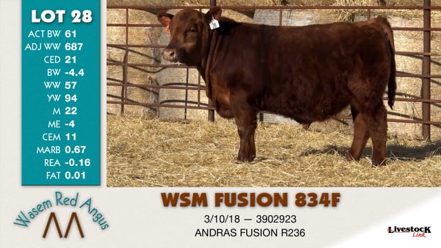 Lot #28 - WSM FUSION 834F