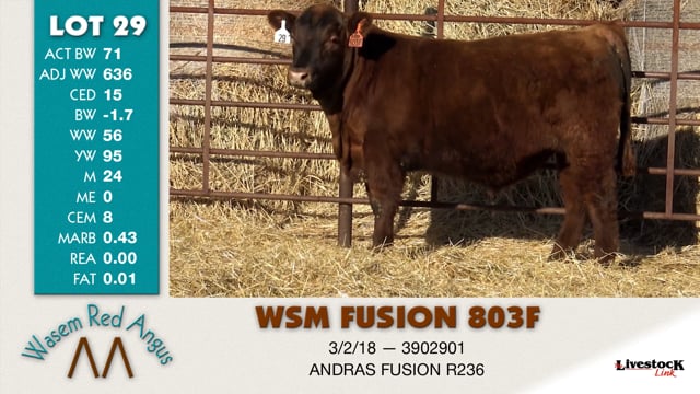 Lot #29 - WSM FUSION 803F