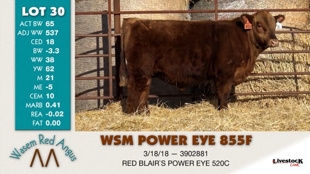Lot #30 - WSM POWER EYE 855F