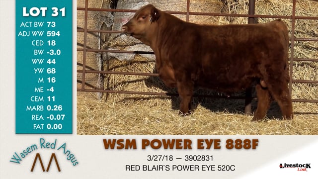 Lot #31 - WSM POWER EYE 888F