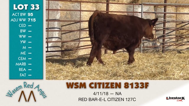 Lot #33 - WSM CITIZEN 8133F