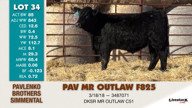 Lot #34 - PAV MR OUTLAW F825
